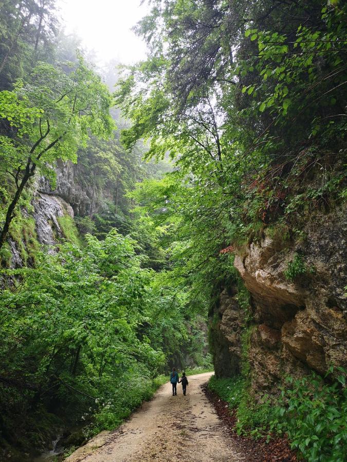 Mountain Lodge Rîşnov Buitenkant foto