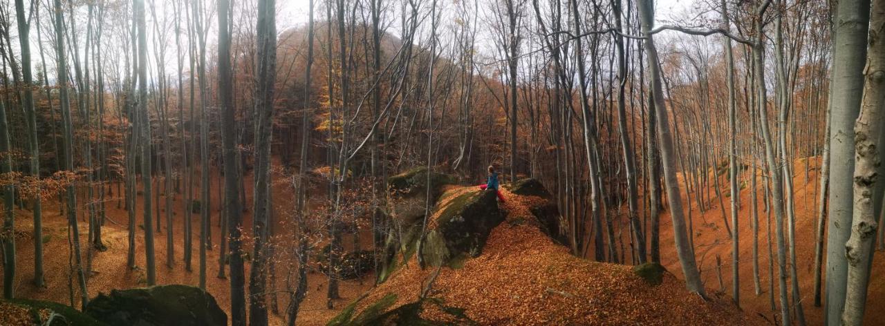 Mountain Lodge Rîşnov Buitenkant foto