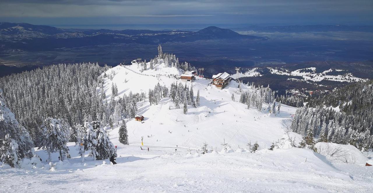 Mountain Lodge Rîşnov Buitenkant foto