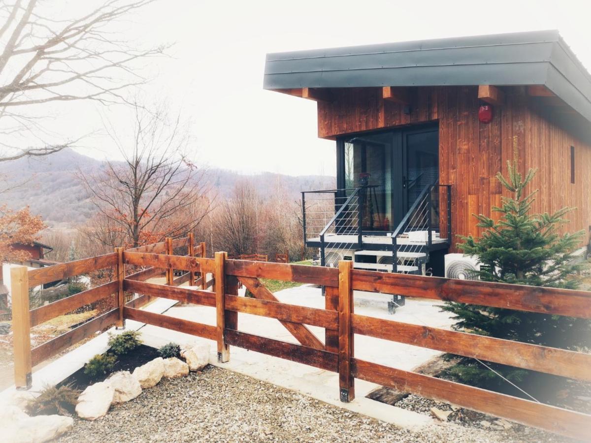 Mountain Lodge Rîşnov Buitenkant foto