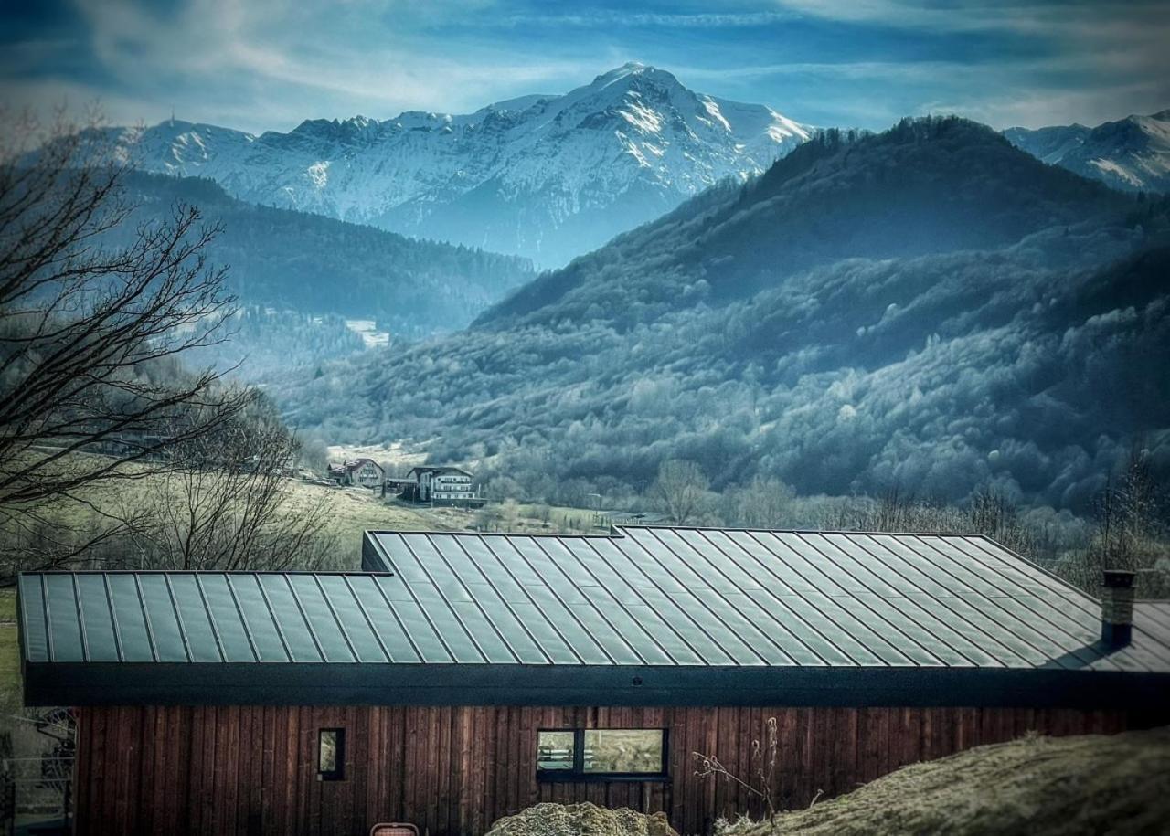 Mountain Lodge Rîşnov Buitenkant foto